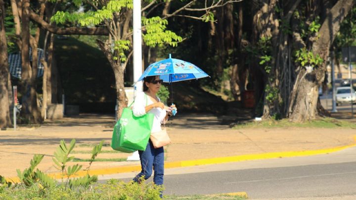 ¿Cuántas personas han muerto en México por la ola de calor? Estas son las cifras