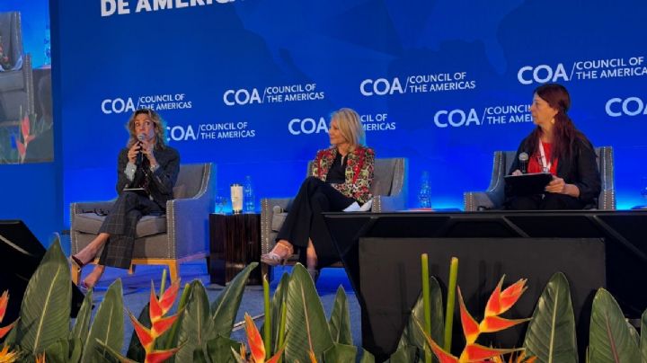 Más de 25 millones de mexicanos permanecen desconectados digitalmente: Alejandra Lagunes, directora de ANIA