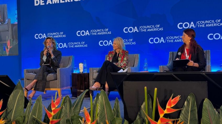 Más de 25 millones de mexicanos permanecen desconectados digitalmente: Alejandra Lagunes, directora de ANIA