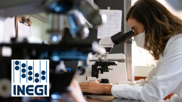 Ingresos de servicios profesionales, científicos y técnicos caen 7.1% en marzo: INEGI