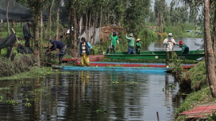 Canales de Xochimilco, altamente contaminados, alertan