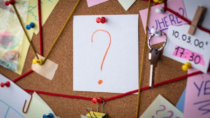 Ingeniería en reversa