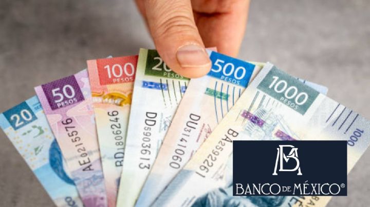 Proveedores, principal fuente de financiamiento de empresas: Banxico