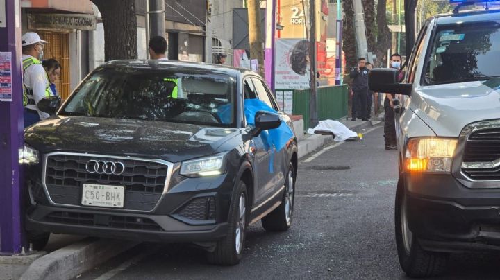 Gobierno de Brugada analiza los protocolos de protección de su gabinete