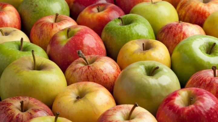 Este es el municipio de Hidalgo donde se producen las mejores manzanas