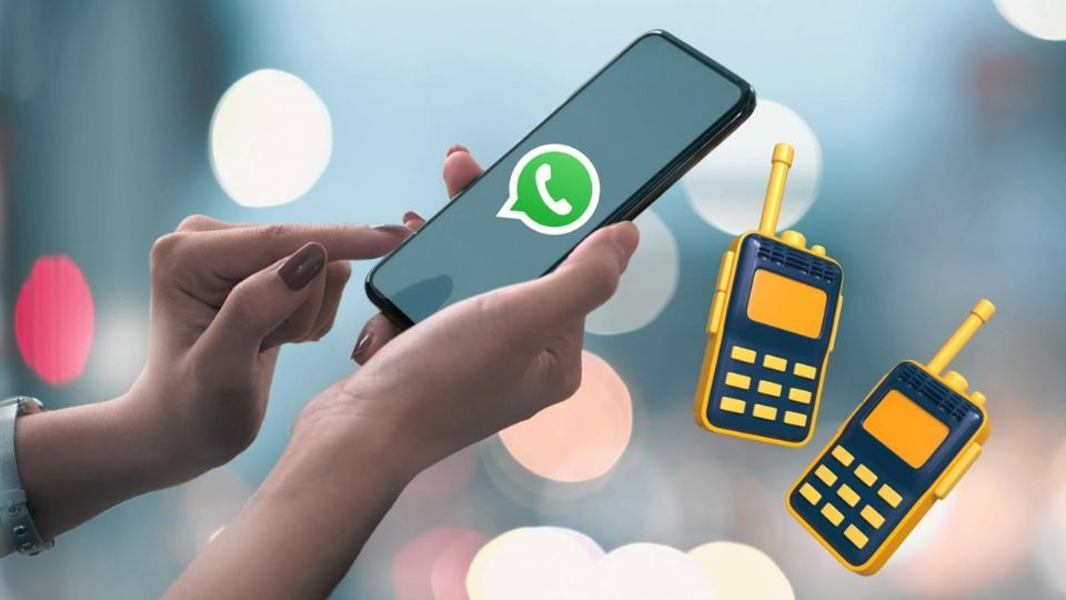 Solo está disponible en grupos dentro de WhatsApp