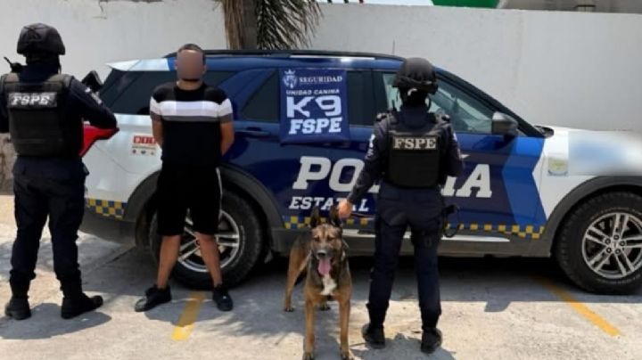 Este policía no tuvo miedo, ni aceptó hueso: capturó a narco
