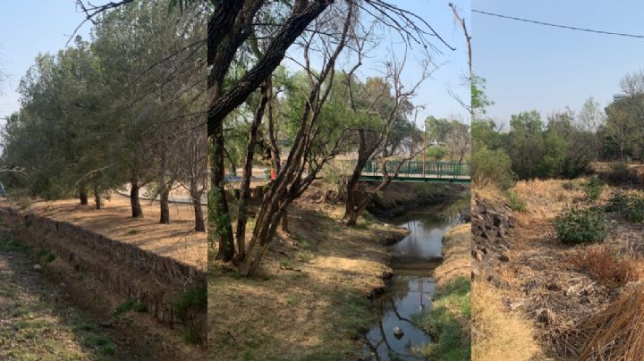 Sin agua los ríos que llegan a la presa de El Palote pese a las lluvias