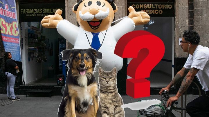 Slim pierde y le ganan negocio: así serán las nuevas veterinarias en la CDMX
