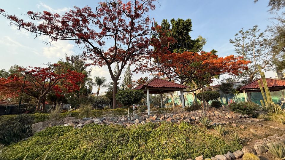 Parque México en León Guanajuato