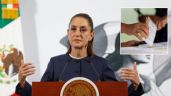 Foto ilustrativa de la nota titulada Sheinbaum refuerza investigación por grupos delictivos en Veracruz para elecciones