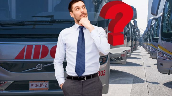 Estos son los nuevos autobuses en México ¿qué rutas hay?