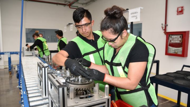 Impulsan el empleo y emprendimiento en Guanajuato con cursos gratuitos; así puedes inscribirte