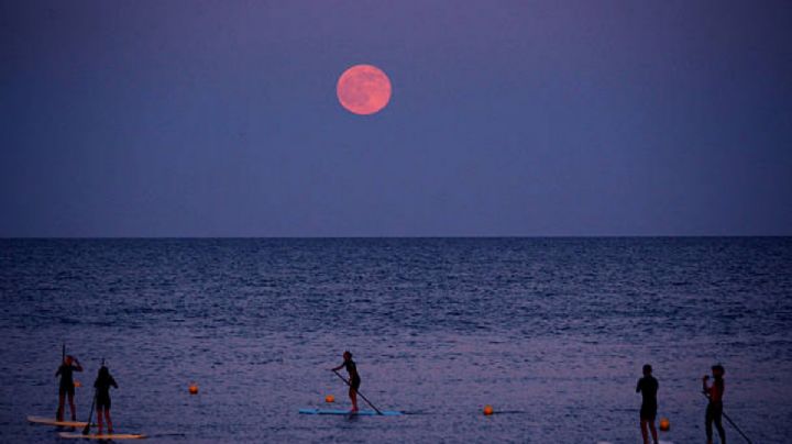 Luna de fresa: este será el mejor día para VER este fenómeno astronómico