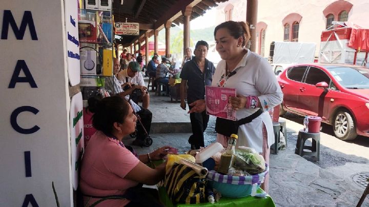 Expertos en juicio de amparo, el perfil que debe buscar la ciudadanía: Violeta Sosa