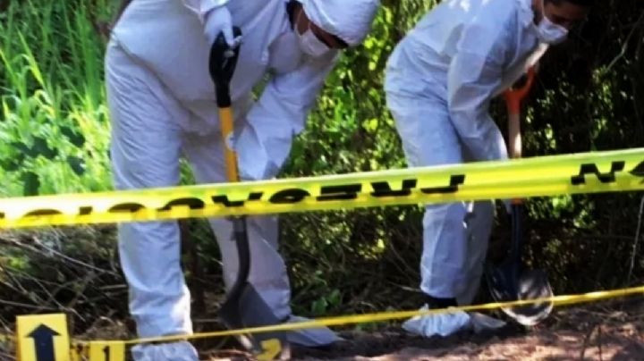 Descubren 17 cuerpos en la narco fosa del Rancho Nuevo del Llanito, Irapuato