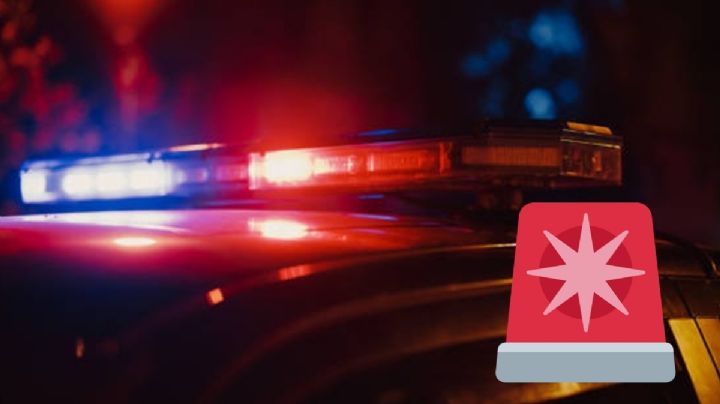 Detienen a 3 adultos y 2 adolescentes en cateo en Chocamán, Veracruz; esto sabemos