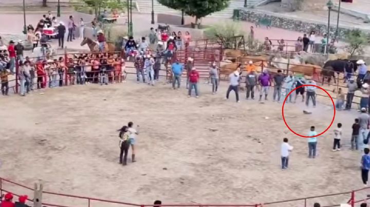Maltrato de gatos en lienzo charro de Xichú; les amarran cohetes en la cola