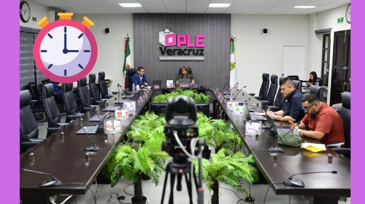 OPLE aprueba la designación de personas funcionarias del Consejo Municipal de Tuxpan