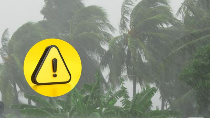 Ciclón tropical Alvin en México: esta será su trayectoria y los estados más afectados