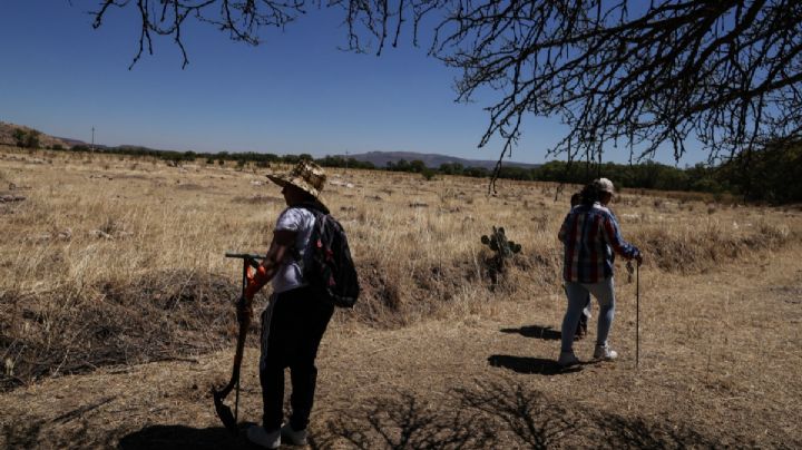 ¿Qué se sabe de los 44 restos óseos hallados en 44 fosas de Colima?