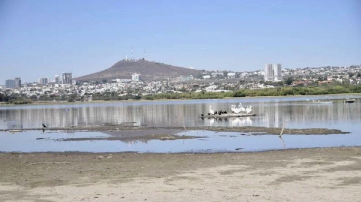 Presa El Palote "ya se está hidratando" con las lluvias de esta semana