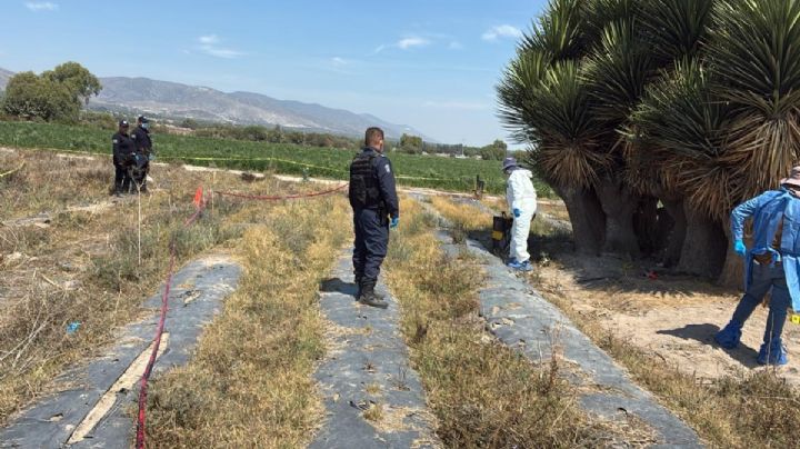Puebla: hallan restos humanos en tercera fosa de Palmar del Bravo