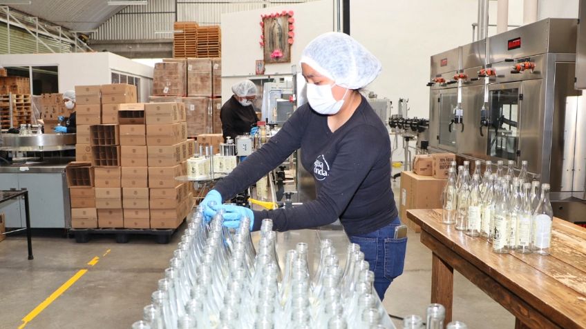 México pierde 45 mil empleos formales en mayo; IMSS lo atribuye a ciclo agrícola