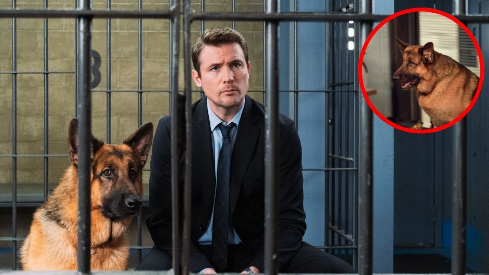 Se estrena la segunda temporada