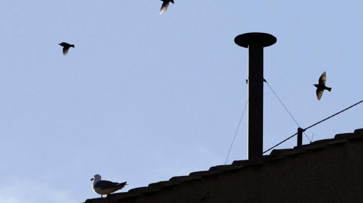 Cónclave: la historia detrás del humo negro y blanco ¿cómo se hace y por qué?