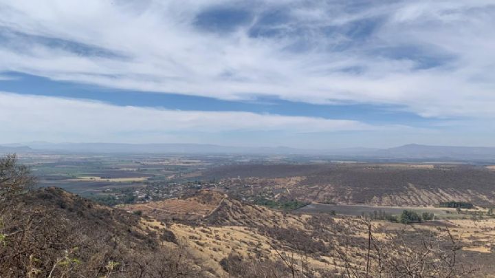 Sequía se sigue agudizando en Guanajuato