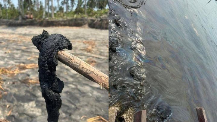 Sheinbaum admite fuga en ducto de Dos Bocas; derrame afecta manglares, playas y pesca