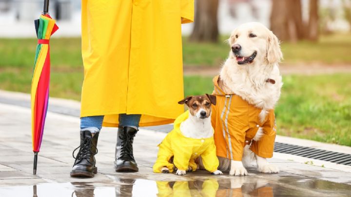 Ingresa frente frío: Estos son los municipios con lluvia en Hidalgo, este jueves 8 de mayo