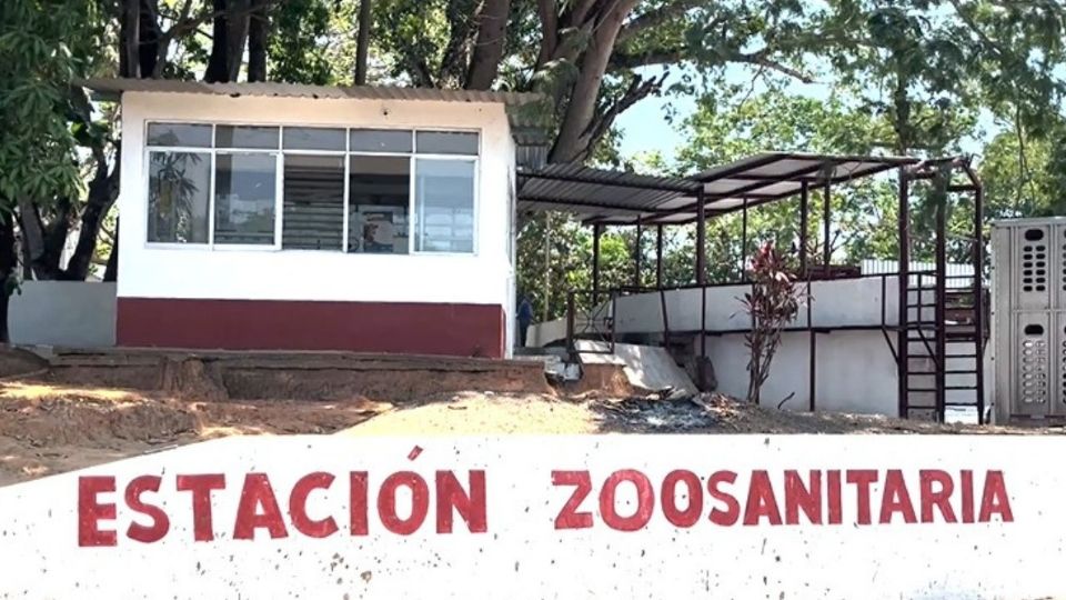 En el punto de revisión se reforzó la revisión para evitar la propagación del gusano barrenador.