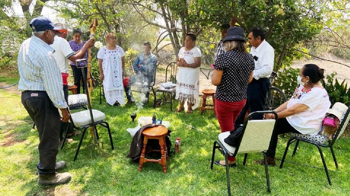 Recuperan en el Valle del Mezquital la semilla madre de las palomitas de maíz