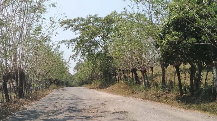 La SICT en Veracruz otorgó contrato a empresa fantasma que abandonó construcción de carretera