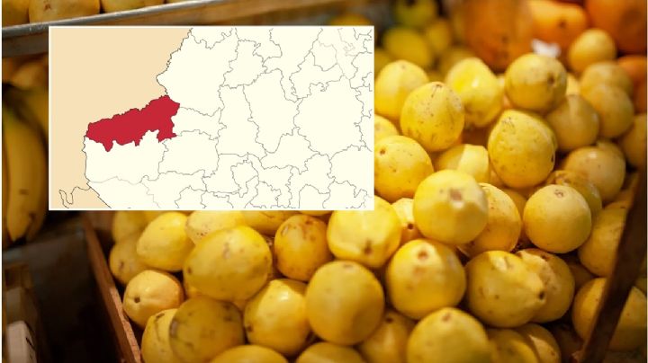 Este es el municipio de Hidalgo donde se producen las mejores guayabas