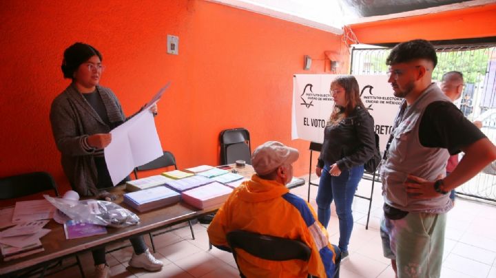 Es válido que ciudadanos lleven sus “anotaciones”: IECM