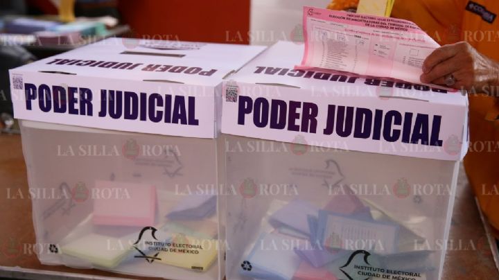 Lideran Celia Maya y Verónica de Gyves  para el Tribunal de Disciplina