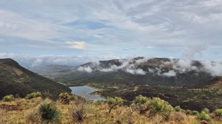 Reverdece Sierra de Lobos con las lluvias
