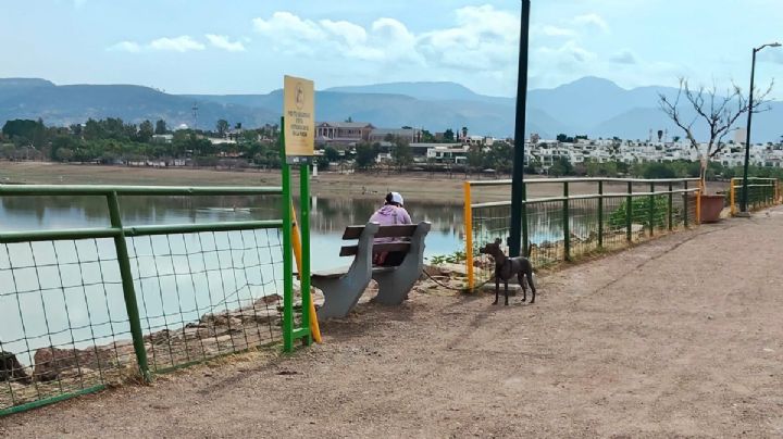 La presa El Palote sigue en niveles bajos