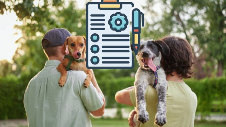 CURP para mascotas: la verdad detrás del trámite y multa de 3,000 pesos
