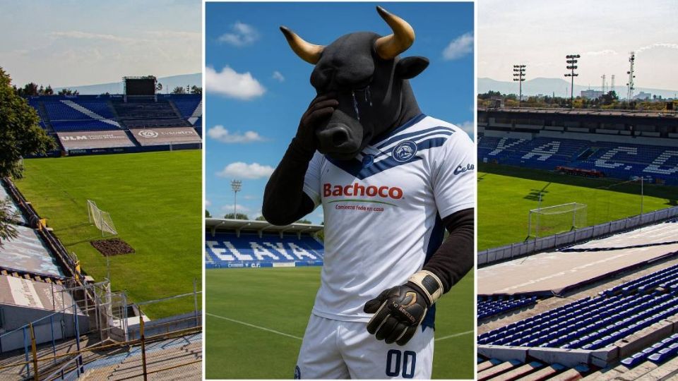 Los “Toros” del Celaya están entre si se van o se quedan en la ciudad cajetera.