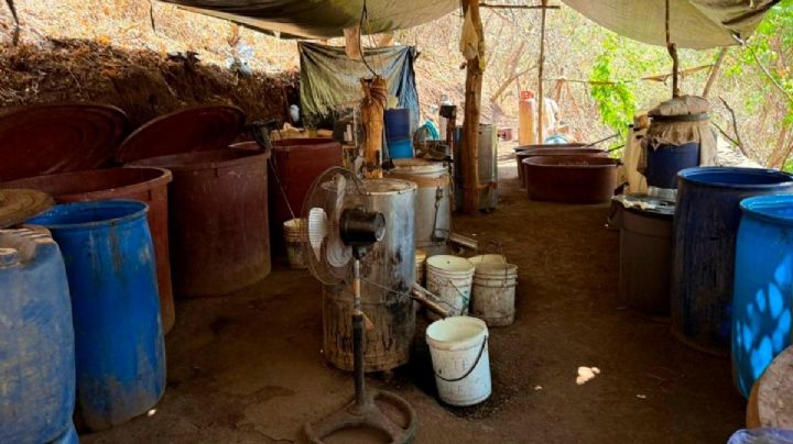 Desmantelan narcoaboratorio en Durango e incautan 150 kilos de metanfetamina