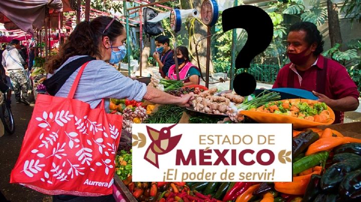 Alimentación para el Bienestar Edomex: así puedes consultar sí recibirás despensas ¿cuándo se entregan?