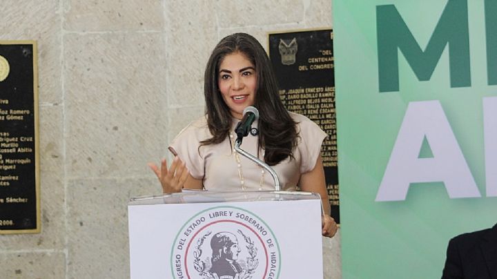 Pide diputada del PRI capacitar a funcionarios para tratar desapariciones