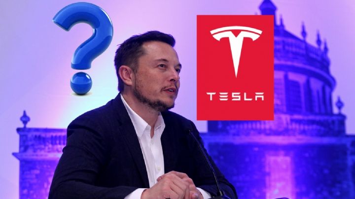 Robotaxis: así será el nuevo transporte público de Elon Musk en EU