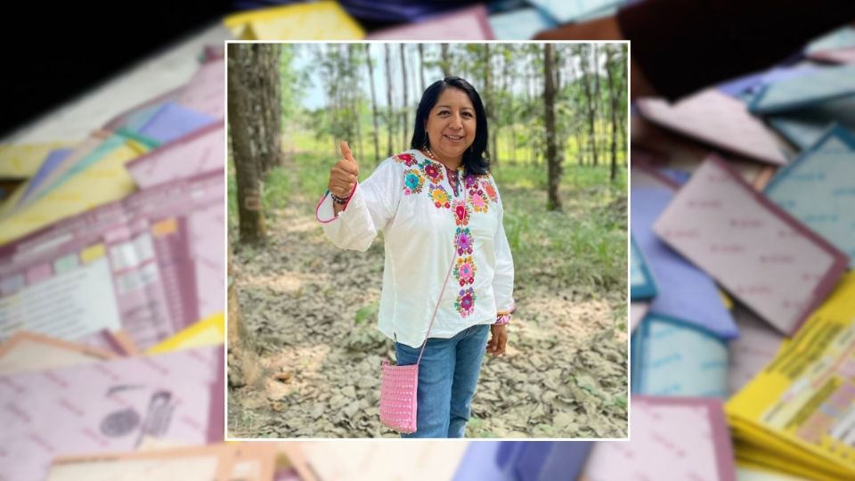 “Que no se reinicien cómputos desde cero': candidata a magistrada tras caída de sistema en elección judicial de Veracruz