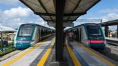Foto ilustrativa de la nota titulada Gobierno declara de utilidad pública 115 mil metros cuadrados para el Tren Maya