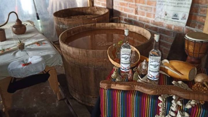 Relájate con un masaje de mezcal y lavanda en este lugar de Guanajuato